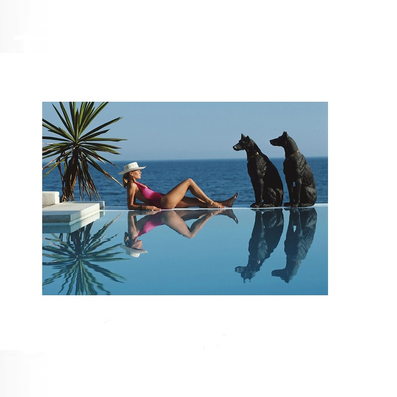 레트로 풀사이드 호스트 럭셔리 라이프스타일 바이 슬림  - Luxury Lifestyle Picture 리뷰 및 가격